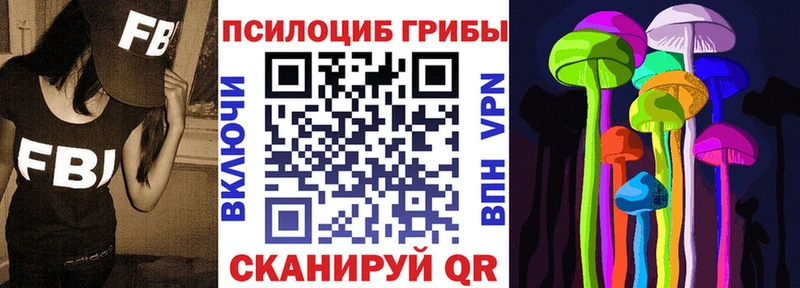 Галлюциногенные грибы Psilocybe  купить  цена  Тимашёвск 